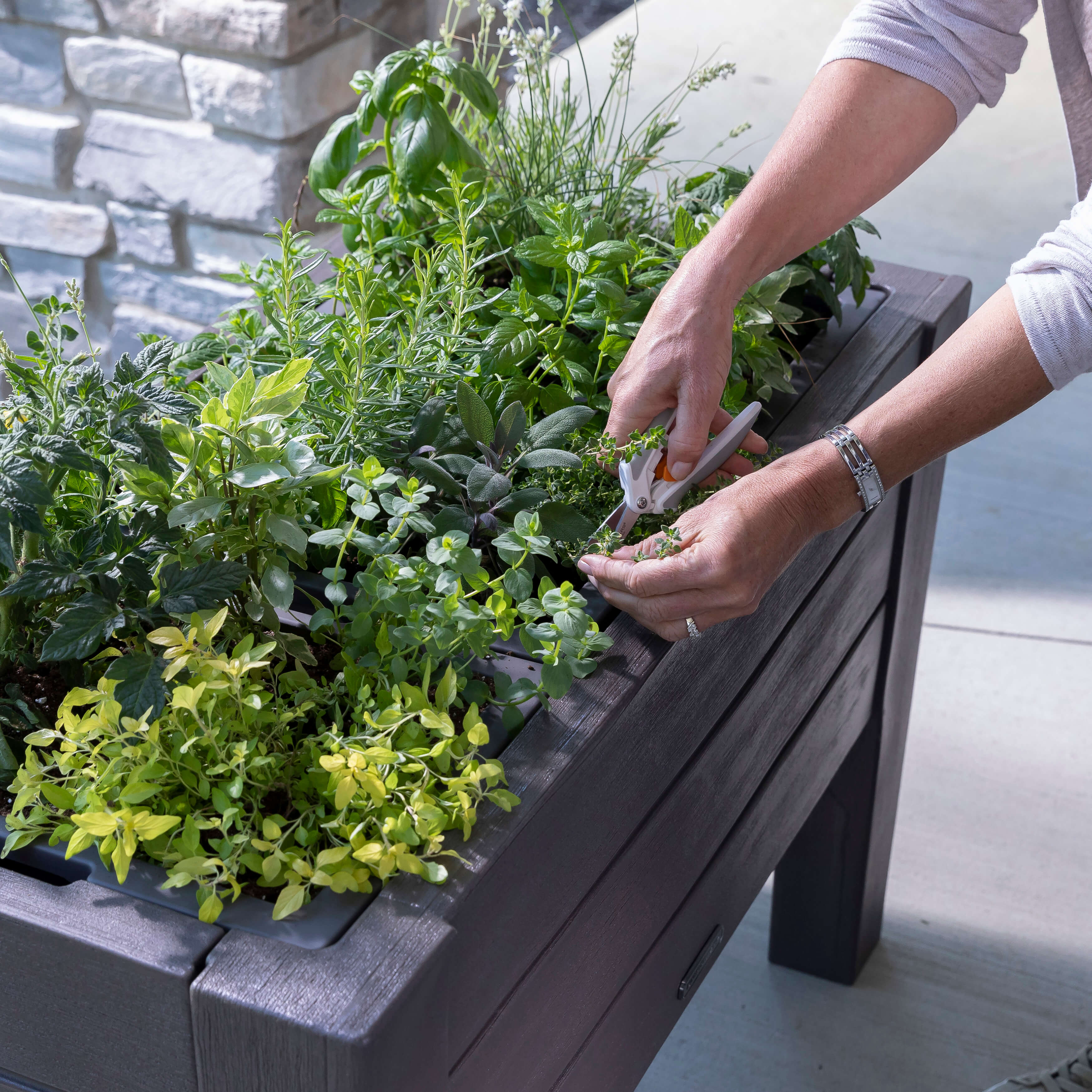 Step2 Lakewood Verhoogde Plantenbak - Donker Ceder
