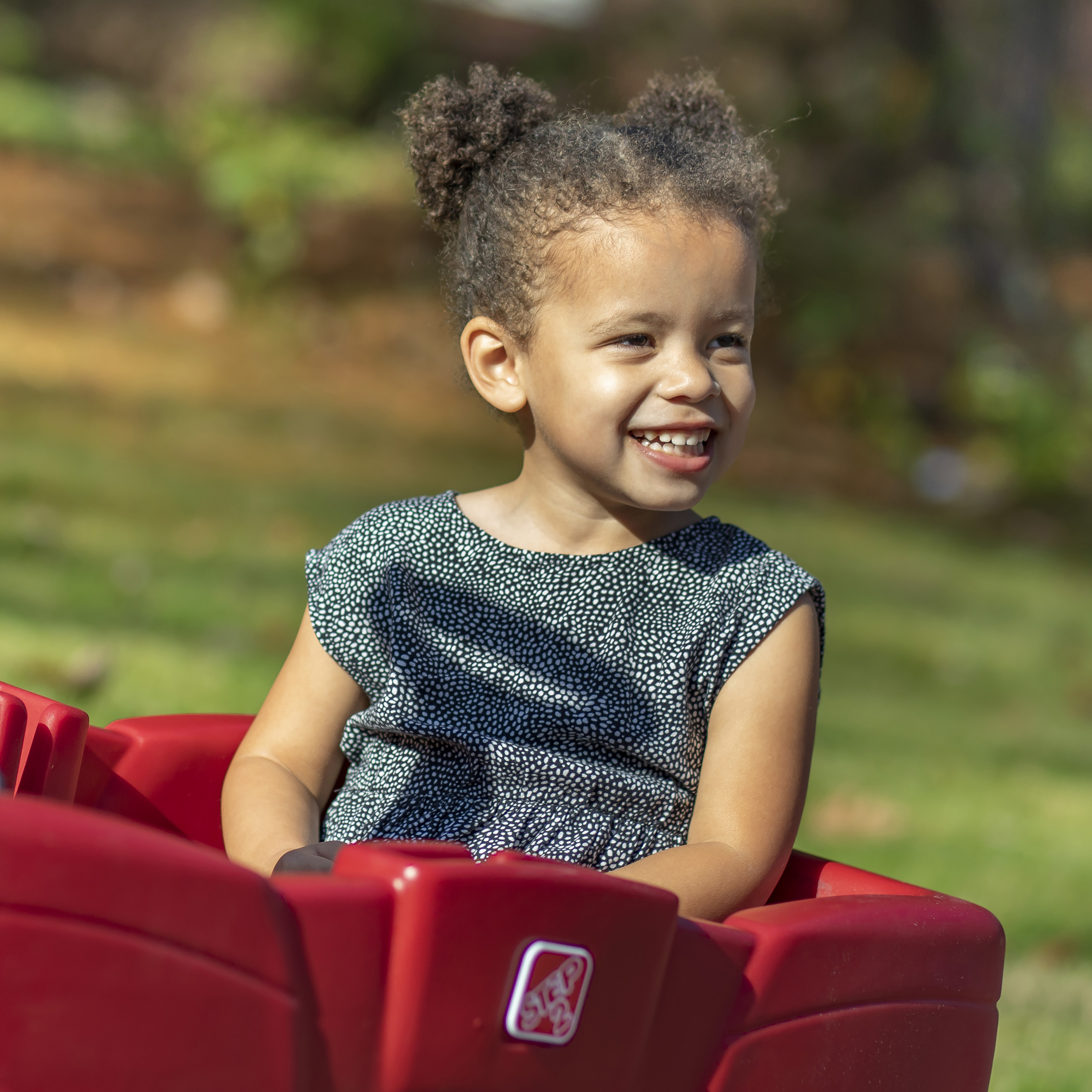 Step2 Neighborhood Wagon