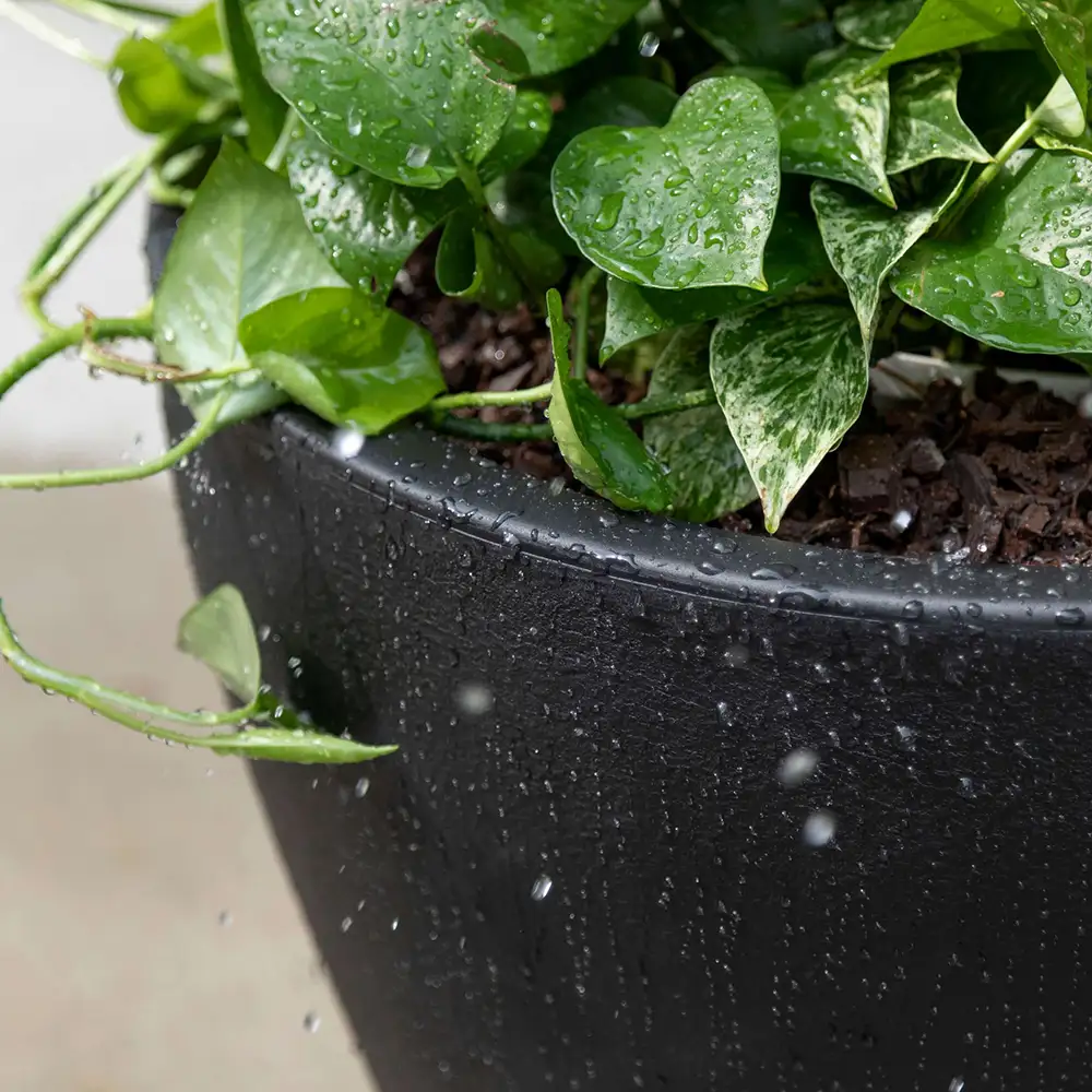Step2 Fernway Bloempot - Onyx Zwart