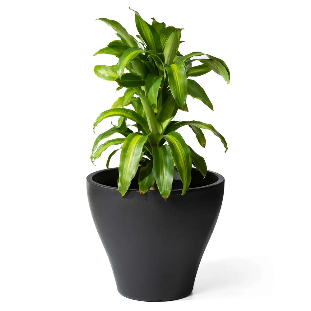 Step2 Fernway Bloempot - Onyx Zwart