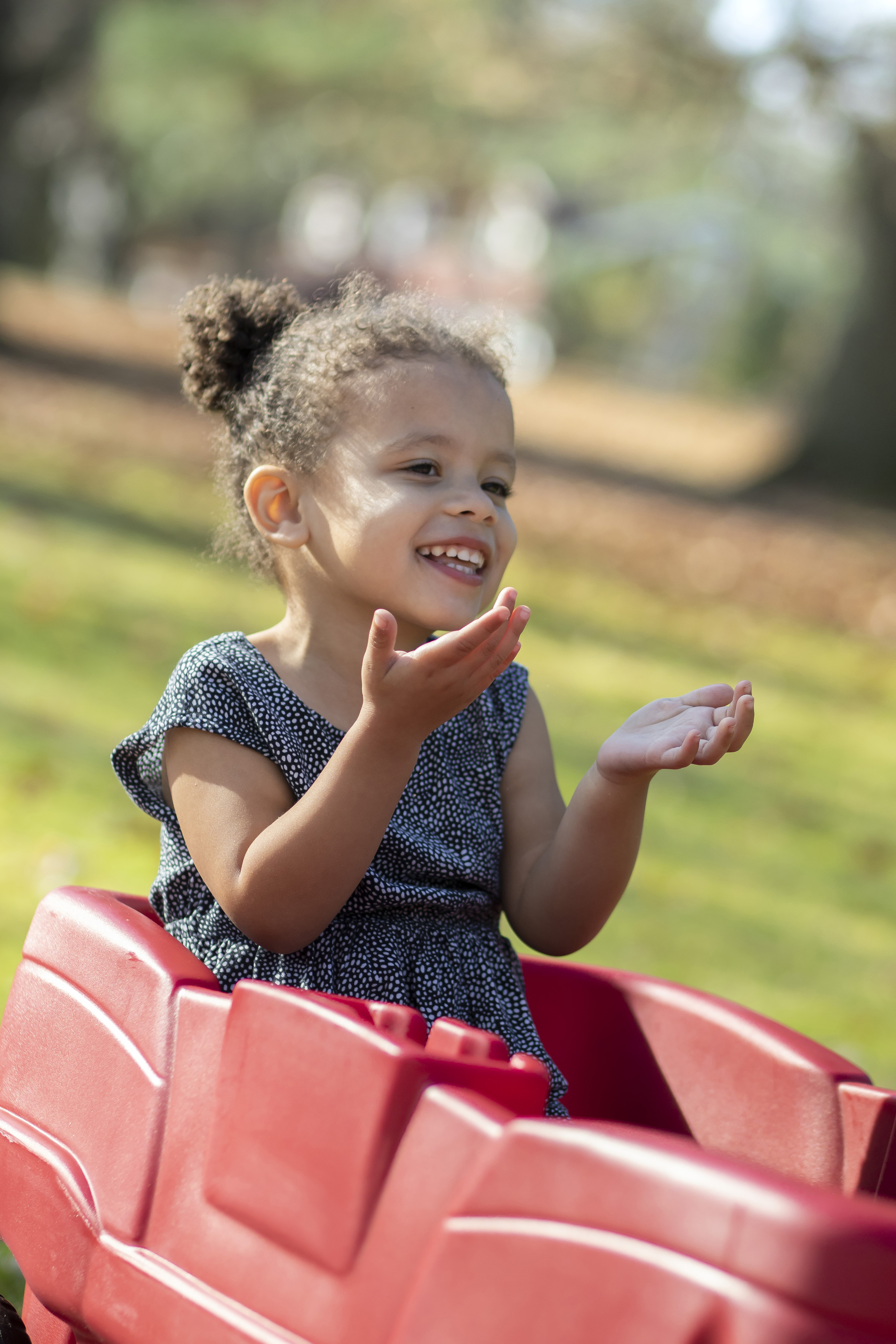 Step2 Neighborhood Wagon