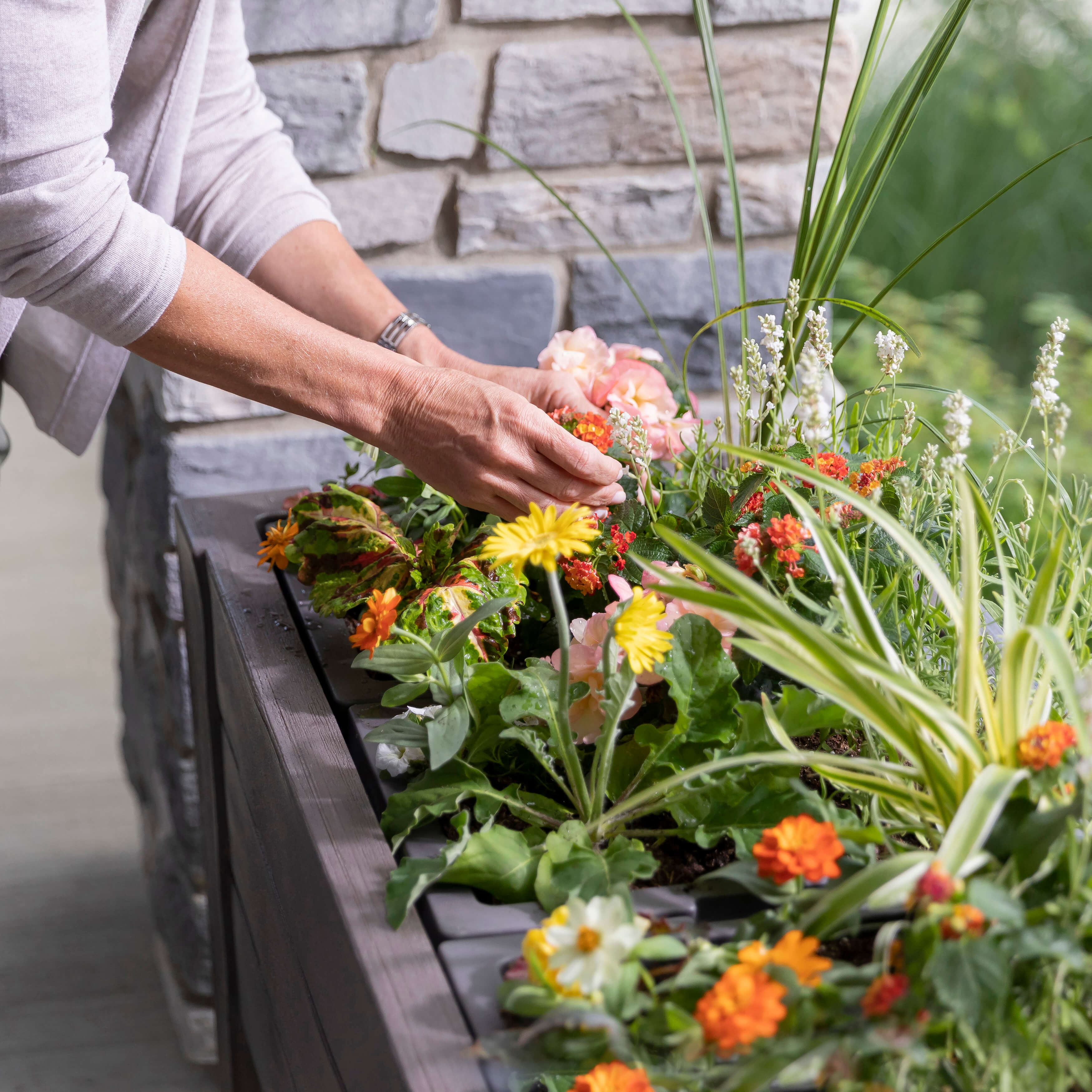 Step2 Lakewood Verhoogde Plantenbak - Donker Ceder