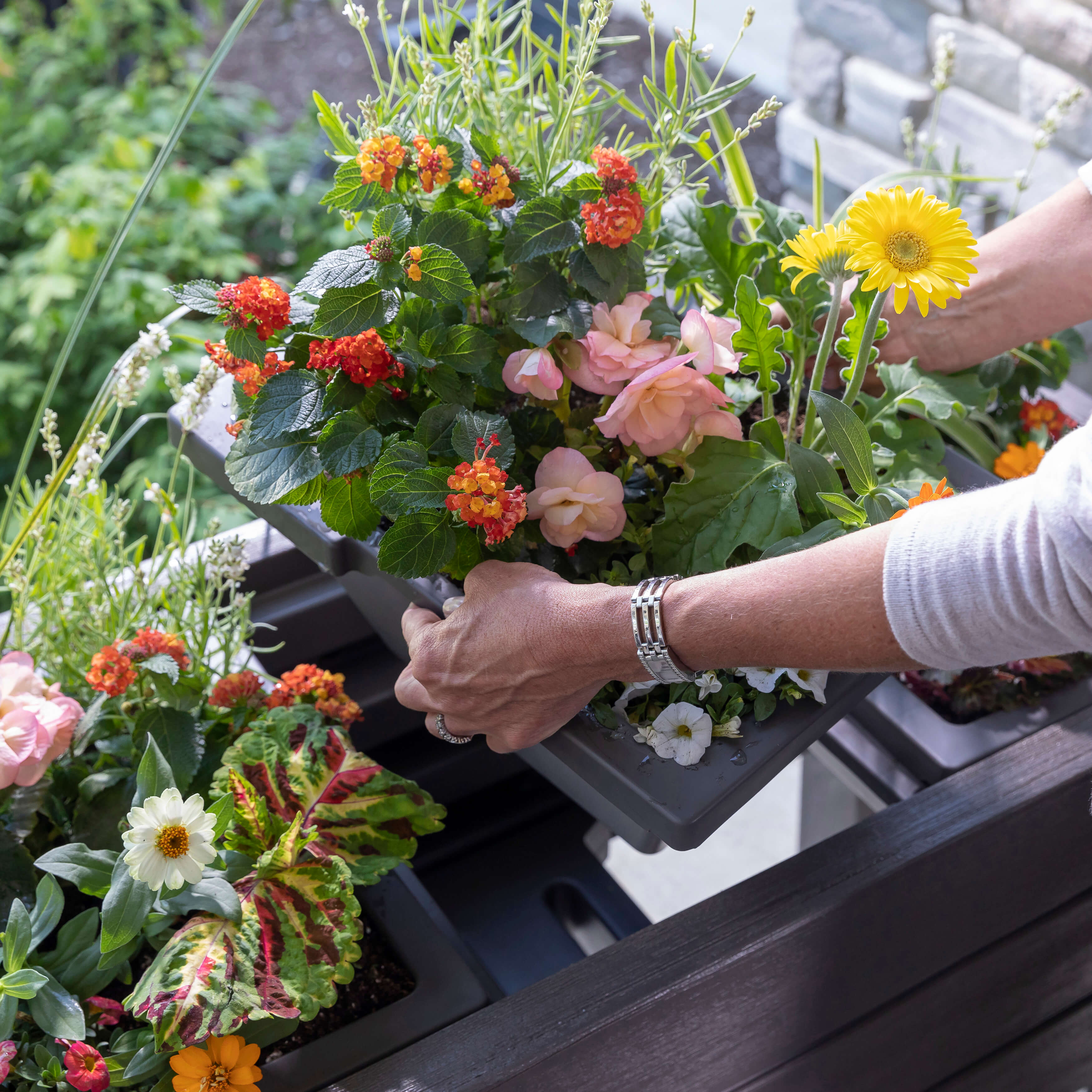 Step2 Lakewood Verhoogde Plantenbak - Donker Ceder