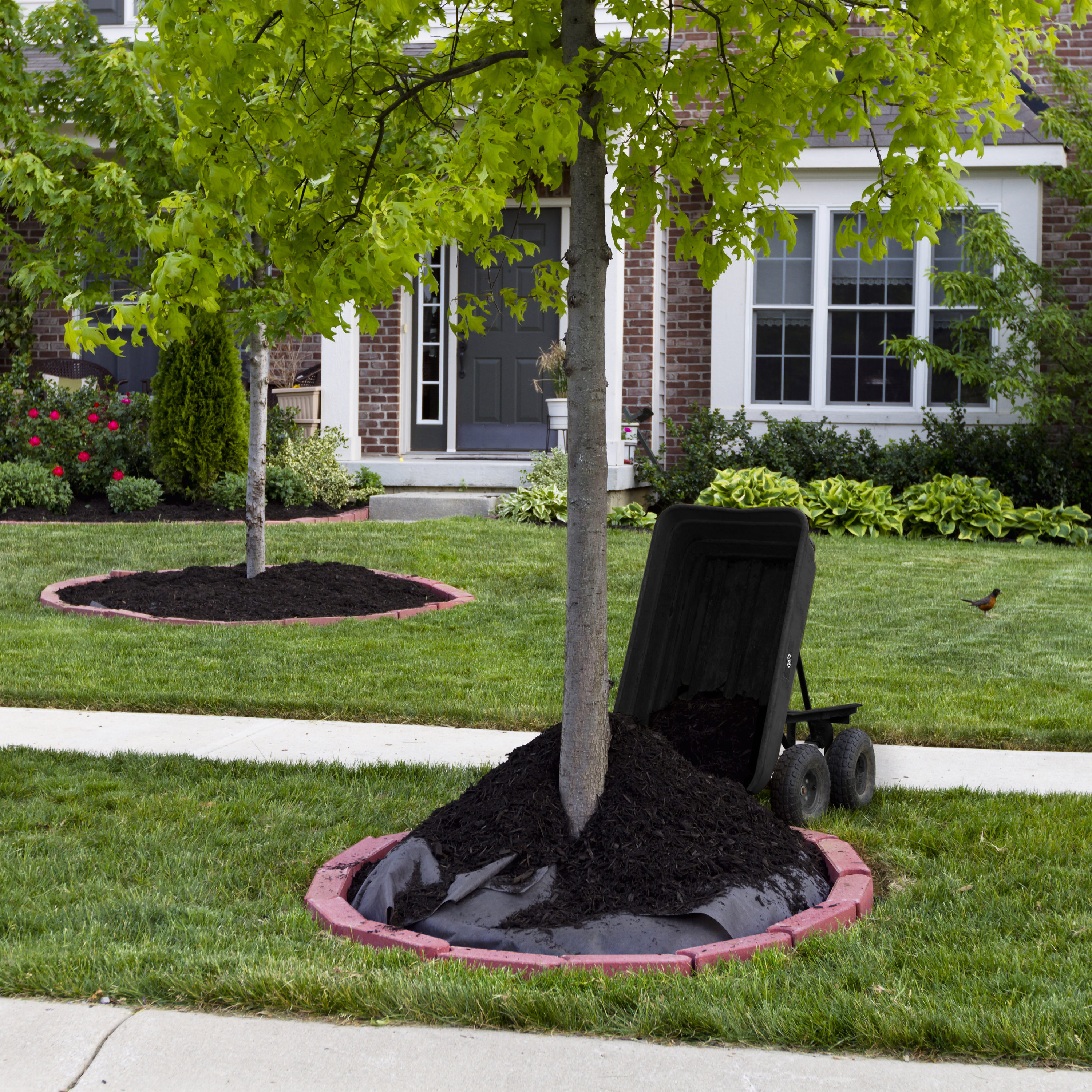 AXI AG75 Garden Transport Dump Truck - Black